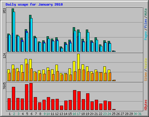 Daily usage for January 2010
