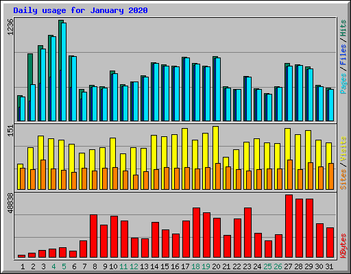 Daily usage for January 2020