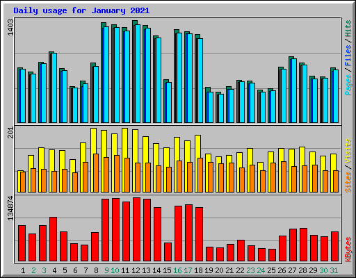 Daily usage for January 2021