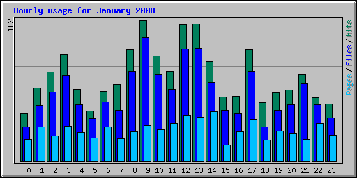 Hourly usage for January 2008