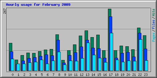 Hourly usage for February 2009