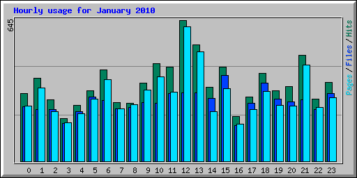 Hourly usage for January 2010
