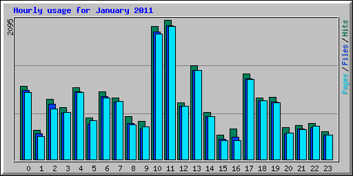 Hourly usage for January 2011