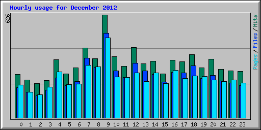 Hourly usage for December 2012