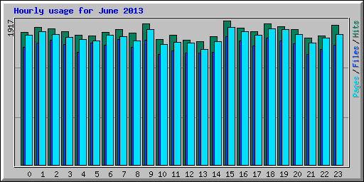 Hourly usage for June 2013