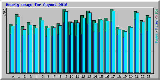 Hourly usage for August 2016