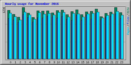 Hourly usage for November 2016