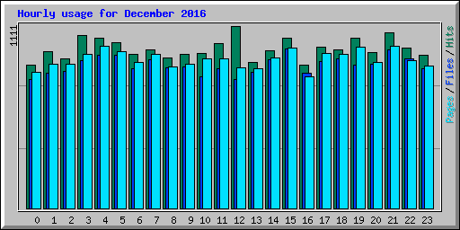 Hourly usage for December 2016