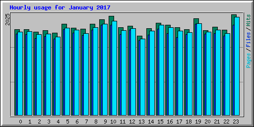 Hourly usage for January 2017