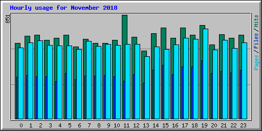 Hourly usage for November 2018