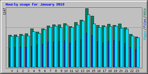 Hourly usage for January 2019