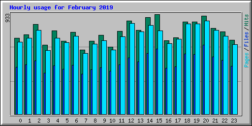 Hourly usage for February 2019