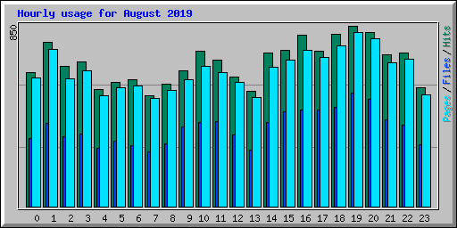 Hourly usage for August 2019