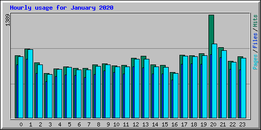 Hourly usage for January 2020