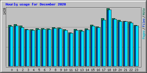 Hourly usage for December 2020