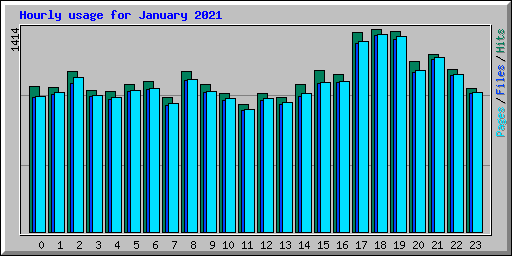 Hourly usage for January 2021