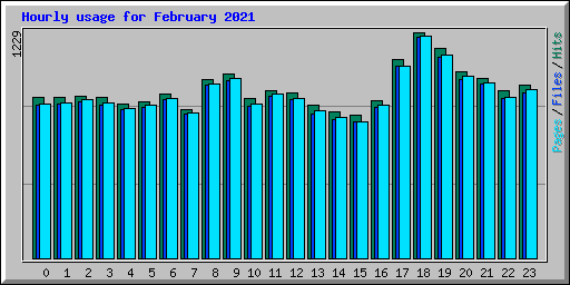 Hourly usage for February 2021