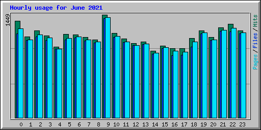 Hourly usage for June 2021