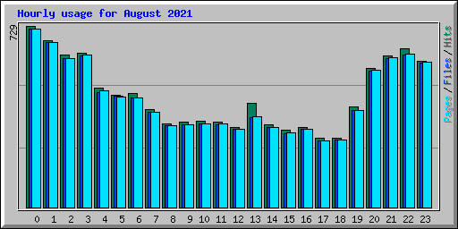 Hourly usage for August 2021